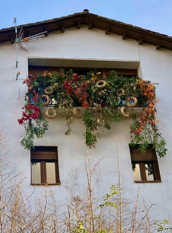 Apartamentos En El Valle Del Jerte Flores Para Angela Cabezuela Del Valle Exterior foto